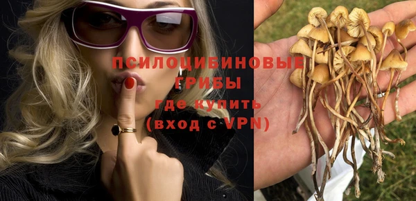 2c-b Алексеевка
