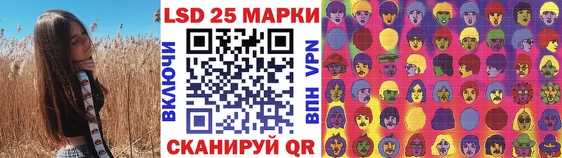 где найти наркотики  Борзя  Марки NBOMe 1500мкг 