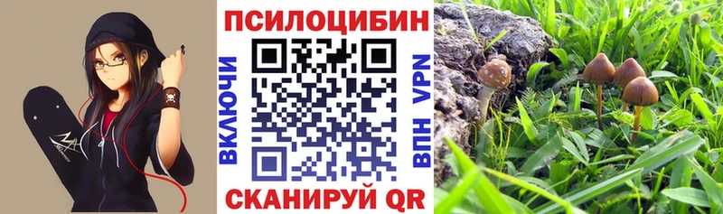 Псилоцибиновые грибы прущие грибы  Борзя 