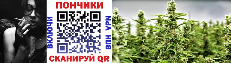 Бошки марихуана LSD WEED  мега ССЫЛКА  Борзя 